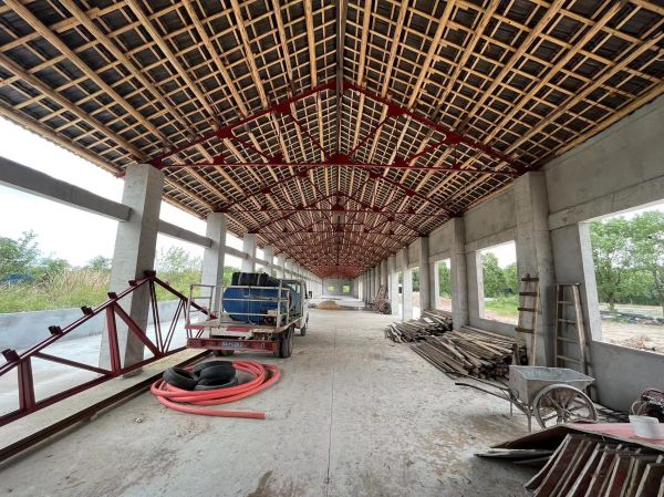 房东直租蔡甸独门独院新建厂房优价出租