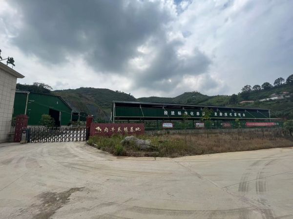 微信图片_20230906172855.jpg
