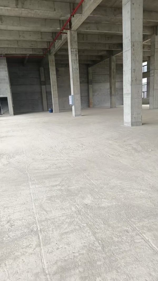 微信图片_20261010091202_1737_5.jpg