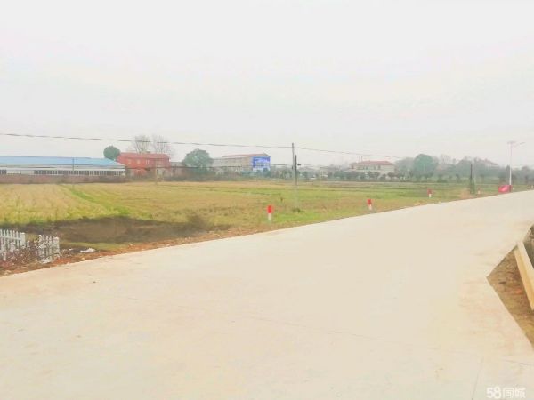 微信图片_202308301411341.jpg