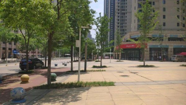 微信图片_20240923112026.jpg