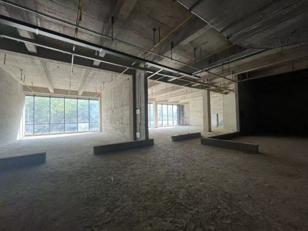 微信图片_20241204160123.jpg