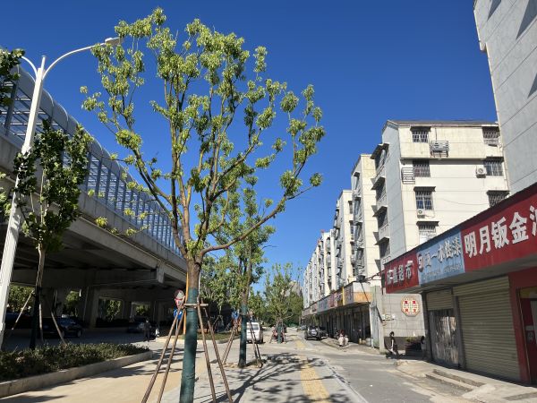 微信图片_20250705104222.jpg
